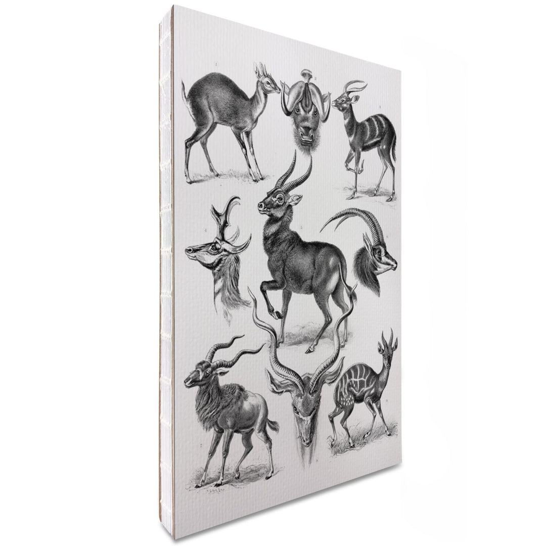 Lined 6x9 Journal, Art Forms of Nature, Antilopina (Antelopes), Ernst Haeckel Artwork, Lay Flat, 193 Pages, FSC paper Home Lantern Press 