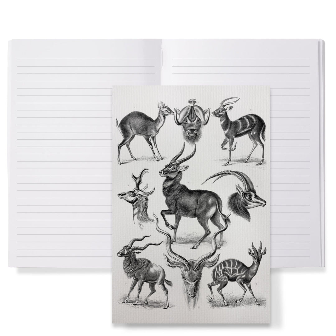 Lined 6x9 Journal, Art Forms of Nature, Antilopina (Antelopes), Ernst Haeckel Artwork, Lay Flat, 193 Pages, FSC paper Home Lantern Press 