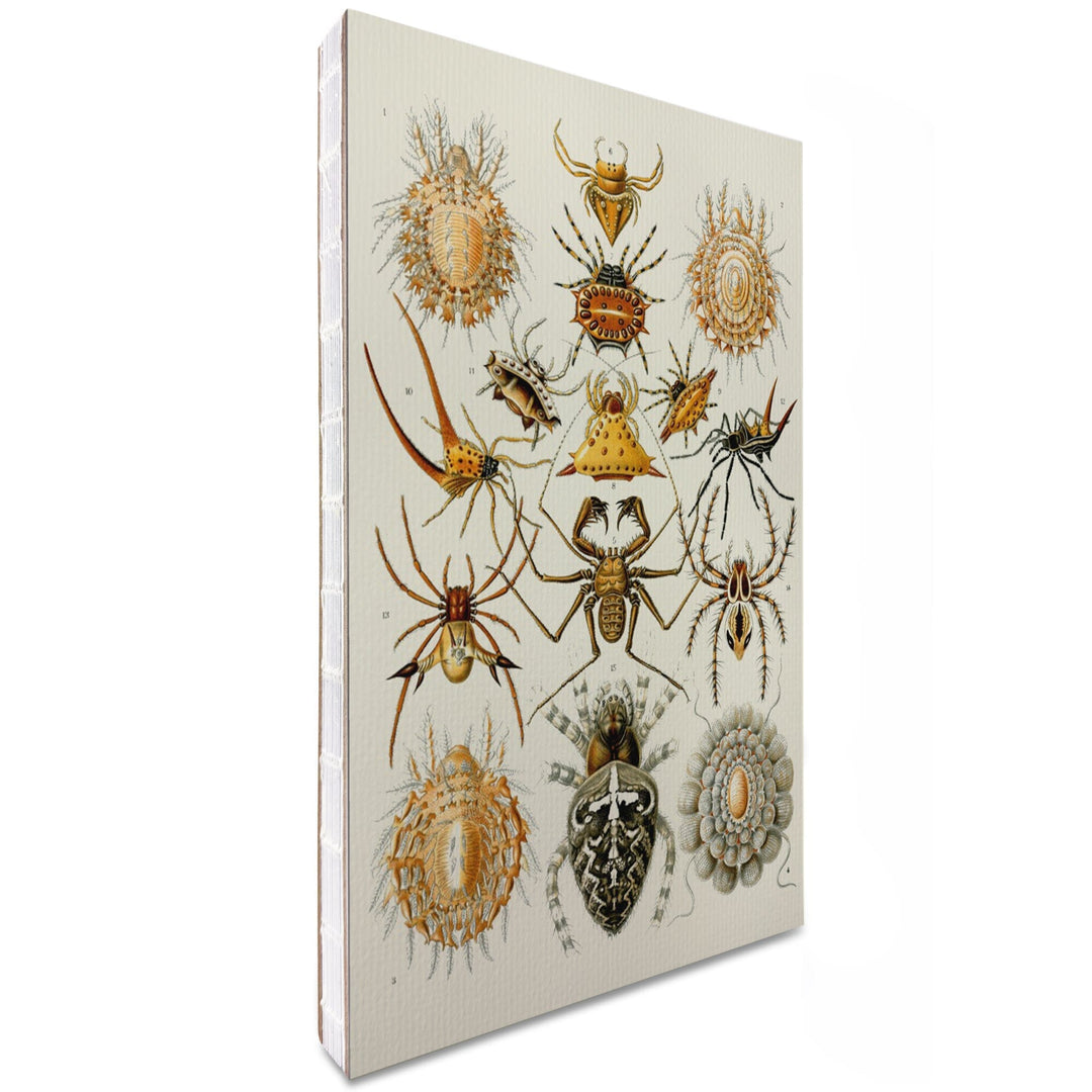 Lined 6x9 Journal, Art Forms of Nature, Arachnida (Spiders), Ernst Haeckel Artwork, Lay Flat, 193 Pages, FSC paper Home Lantern Press 