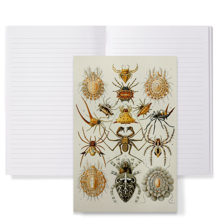 Lined 6x9 Journal, Art Forms of Nature, Arachnida (Spiders), Ernst Haeckel Artwork, Lay Flat, 193 Pages, FSC paper Home Lantern Press 