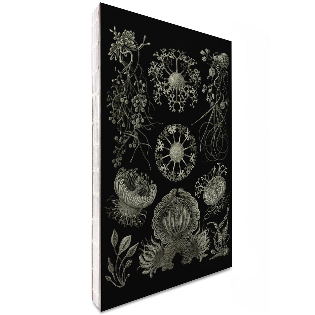 Lined 6x9 Journal, Art Forms of Nature, Ascomycetes (Fungus), Ernst Haeckel Artwork, Lay Flat, 193 Pages, FSC paper Home Lantern Press 