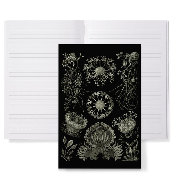 Lined 6x9 Journal, Art Forms of Nature, Ascomycetes (Fungus), Ernst Haeckel Artwork, Lay Flat, 193 Pages, FSC paper Home Lantern Press 