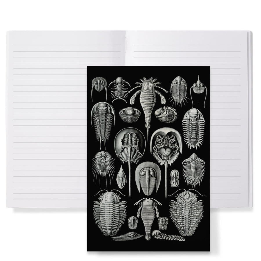 Lined 6x9 Journal, Art Forms of Nature, Aspidonia (Horseshoe Crabs), Ernst Haeckel Artwork, Lay Flat, 193 Pages, FSC paper Home Lantern Press 