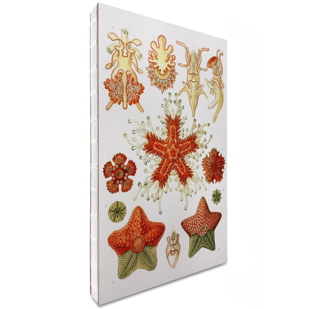 Lined 6x9 Journal, Art Forms of Nature, Asteridea, Ernst Haeckel Artwork, Lay Flat, 193 Pages, FSC paper Home Lantern Press 