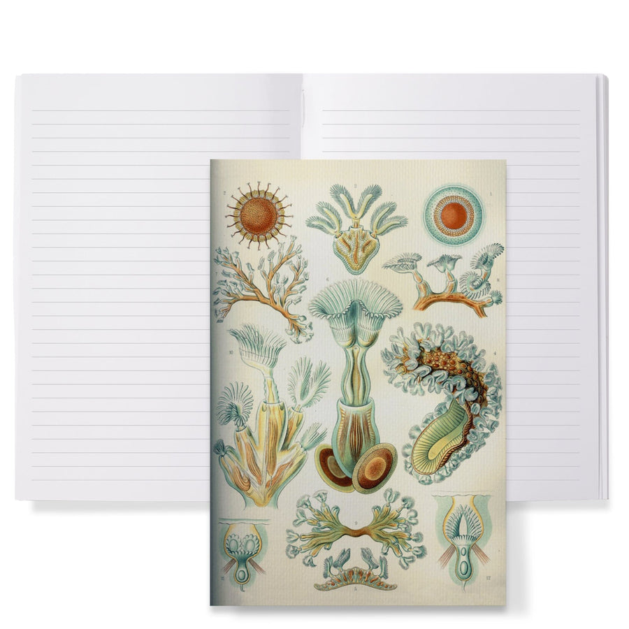 Lined 6x9 Journal, Art Forms of Nature, Bryozoa (light), Ernst Haeckel Artwork, Lay Flat, 193 Pages, FSC paper Home Lantern Press 