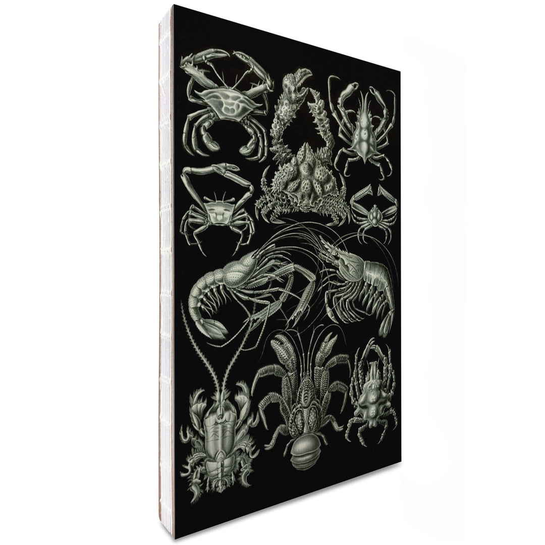 Lined 6x9 Journal, Art Forms of Nature, Decapoda (Crustaceans), Ernst Haeckel Artwork, Lay Flat, 193 Pages, FSC paper Home Lantern Press 