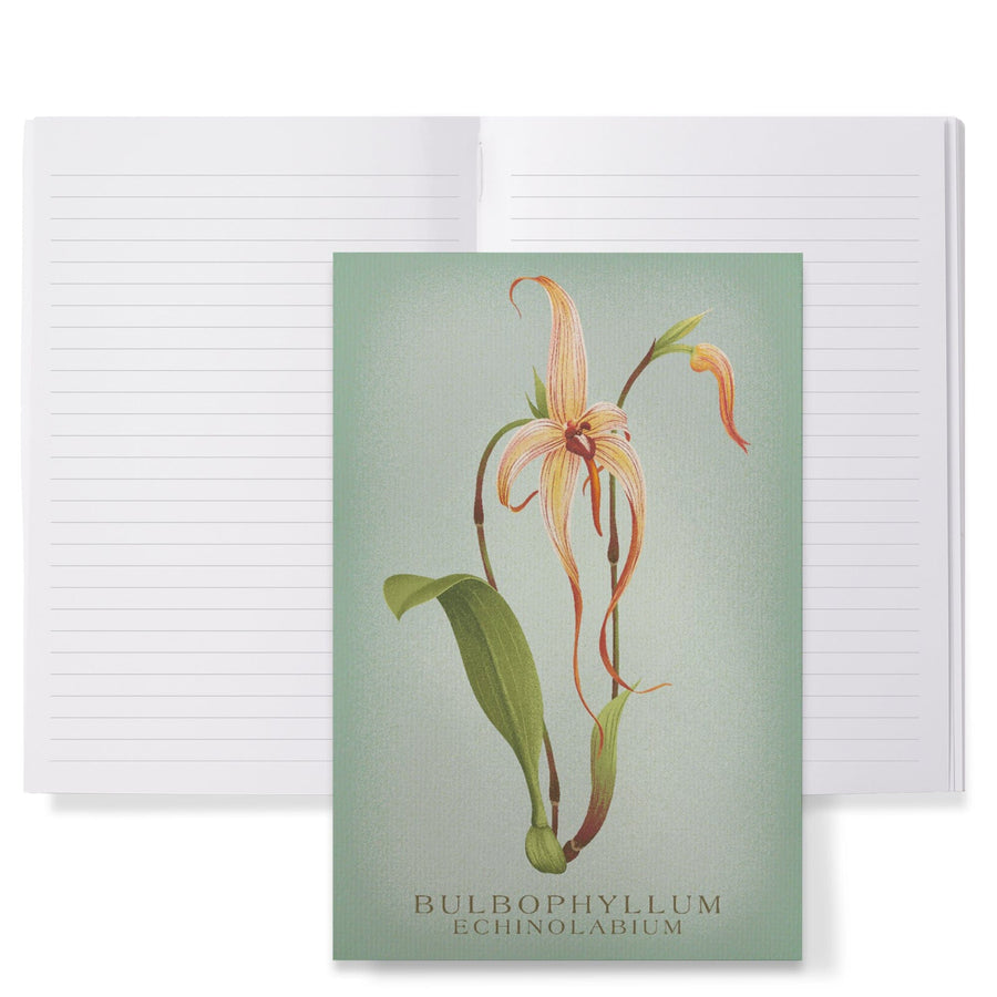 Lined 6x9 Journal, Bulbophyllum, Orchid, Vintage Flora, Lay Flat, 193 Pages, FSC paper Home Lantern Press 