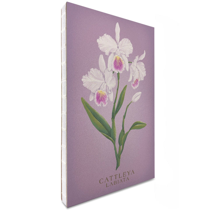 Lined 6x9 Journal, Cattleya, Orchid, Vintage Flora, Lay Flat, 193 Pages, FSC paper Home Lantern Press 