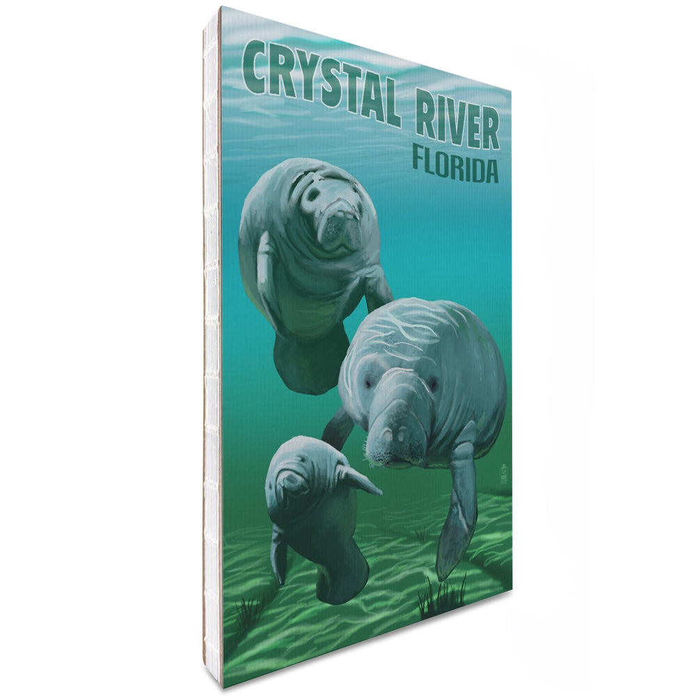 Lined 6x9 Journal, Crystal River, Florida, Manatees, Lay Flat, 193 Pages, FSC paper Home Lantern Press 