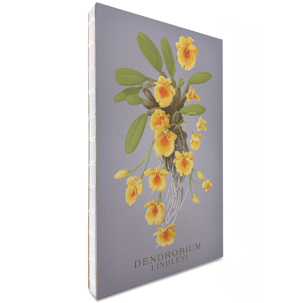 Lined 6x9 Journal, Dendrobium, Orchid, Vintage Flora, Lay Flat, 193 Pages, FSC paper Home Lantern Press 
