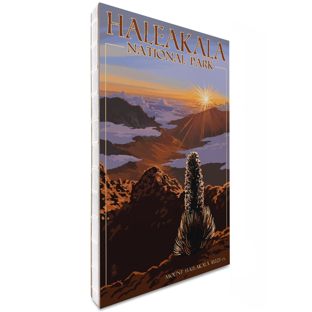 Lined 6x9 Journal, Haleakalā National Park, Sunrise, Lay Flat, 193 Pages, FSC paper Home Lantern Press 