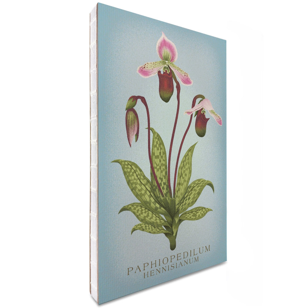 Lined 6x9 Journal, Paphiopedilum, Orchid, Vintage Flora, Lay Flat, 193 Pages, FSC paper Home Lantern Press 