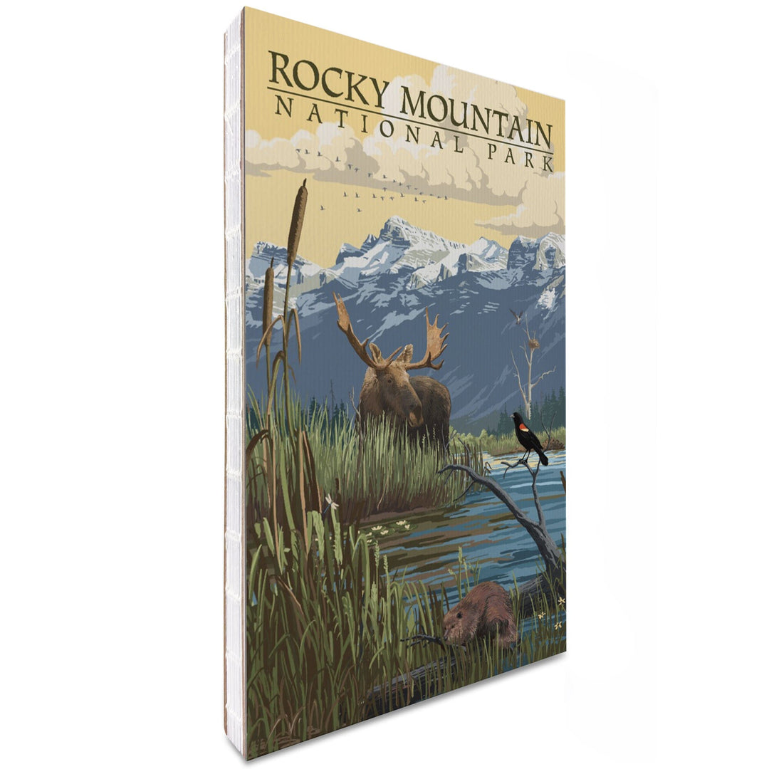 Lined 6x9 Journal, Rocky Mountain National Park, Mountain and Marsh Scene, Lay Flat, 193 Pages, FSC paper Home Lantern Press 