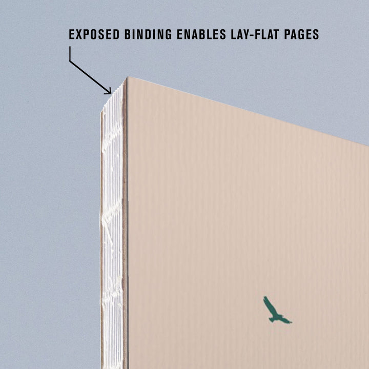 Lined 6x9 Journal, Saguaro National Park, Arizona, Gain Perspective, Vector Style, Lay Flat, 193 Pages, FSC paper Home Lantern Press 