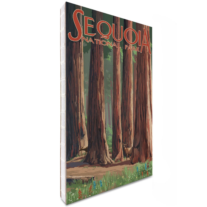 Lined 6x9 Journal, Sequoia National Park, Forest Grove in Spring, Lay Flat, 193 Pages, FSC paper Home Lantern Press 