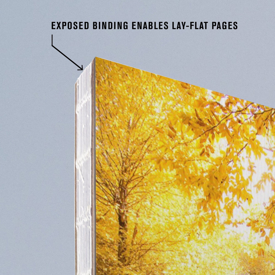 Lined 6x9 Journal, Shenandoah National Park, Virginia, Waterfall in Autumn, Lay Flat, 193 Pages, FSC paper Home Lantern Press 