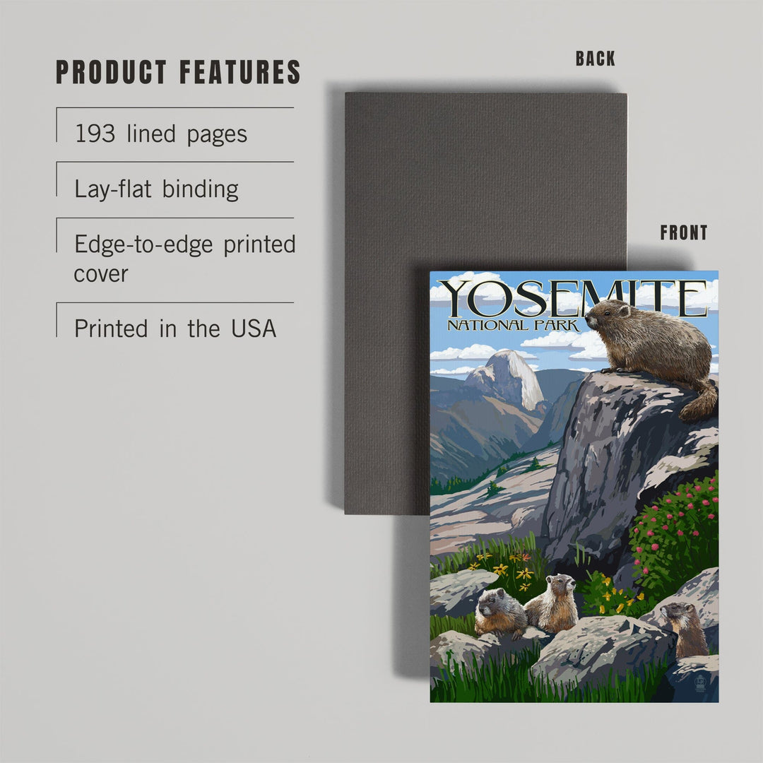 Lined 6x9 Journal, Yosemite National Park, California, Marmots, Lay Flat, 193 Pages, FSC paper Home Lantern Press 