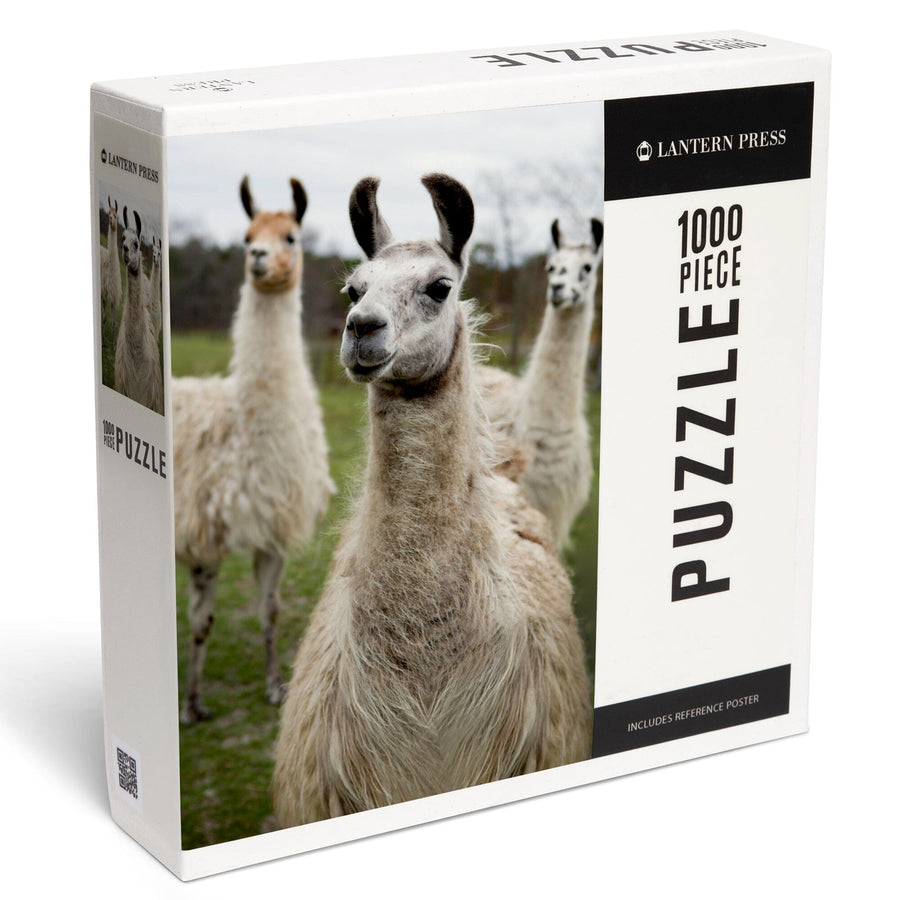 Llamas, Jigsaw Puzzle Puzzle Lantern Press 