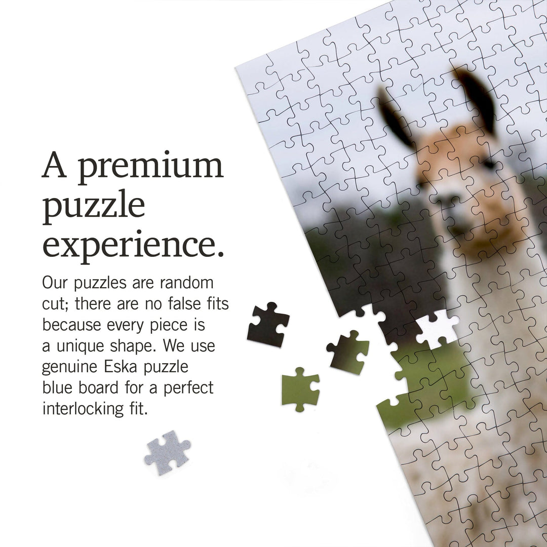 Llamas, Jigsaw Puzzle Puzzle Lantern Press 