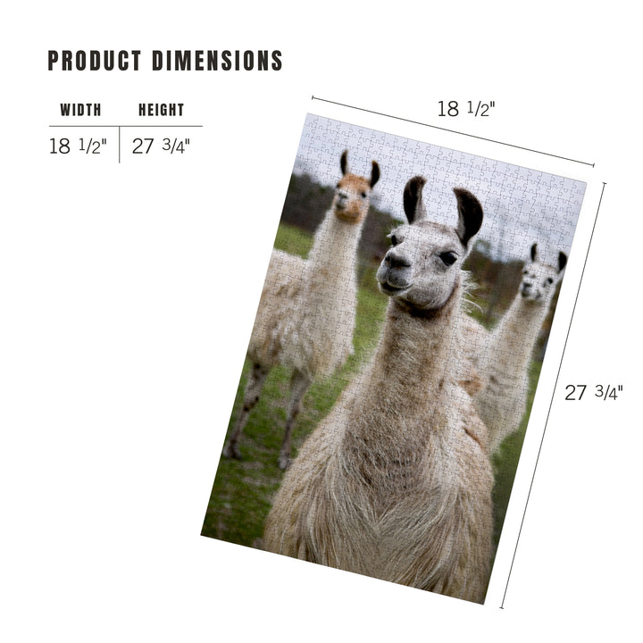Llamas, Jigsaw Puzzle Puzzle Lantern Press 