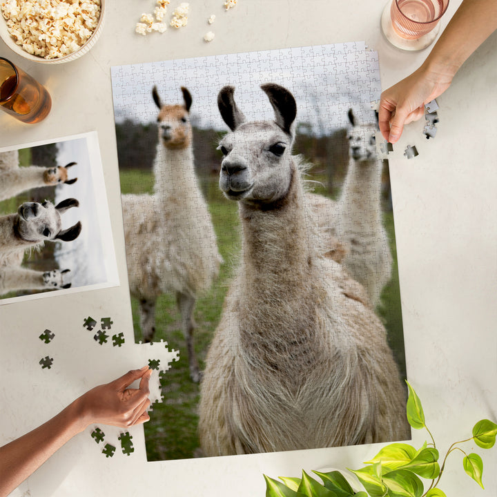 Llamas, Jigsaw Puzzle Puzzle Lantern Press 
