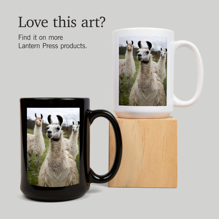 Llamas, Lantern Press Photography, Ceramic Mug Mugs Lantern Press 