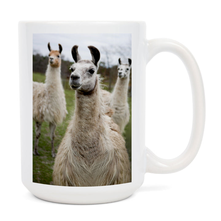Llamas, Lantern Press Photography, Ceramic Mug Mugs Lantern Press 