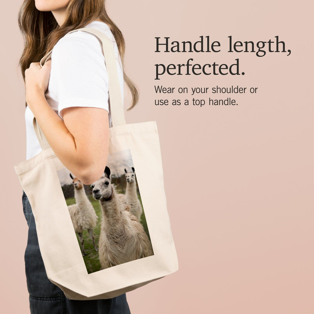 Llamas, Tote Bag Totes Lantern Press 