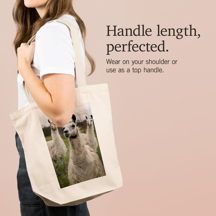 Llamas, Tote Bag Totes Lantern Press 
