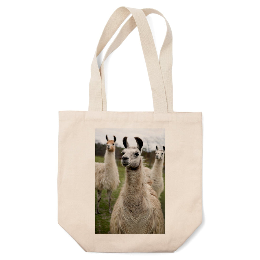 Llamas, Tote Bag Totes Lantern Press 