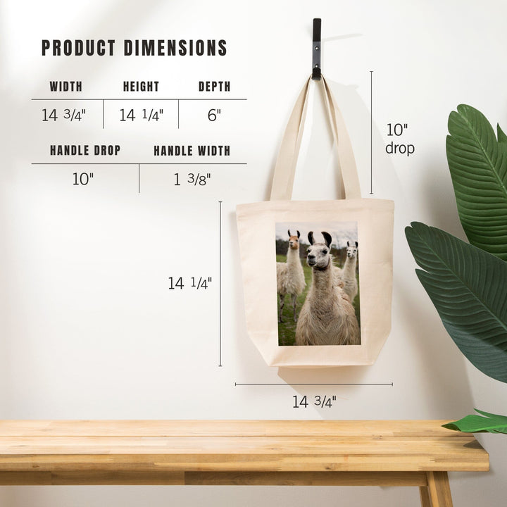 Llamas, Tote Bag Totes Lantern Press 