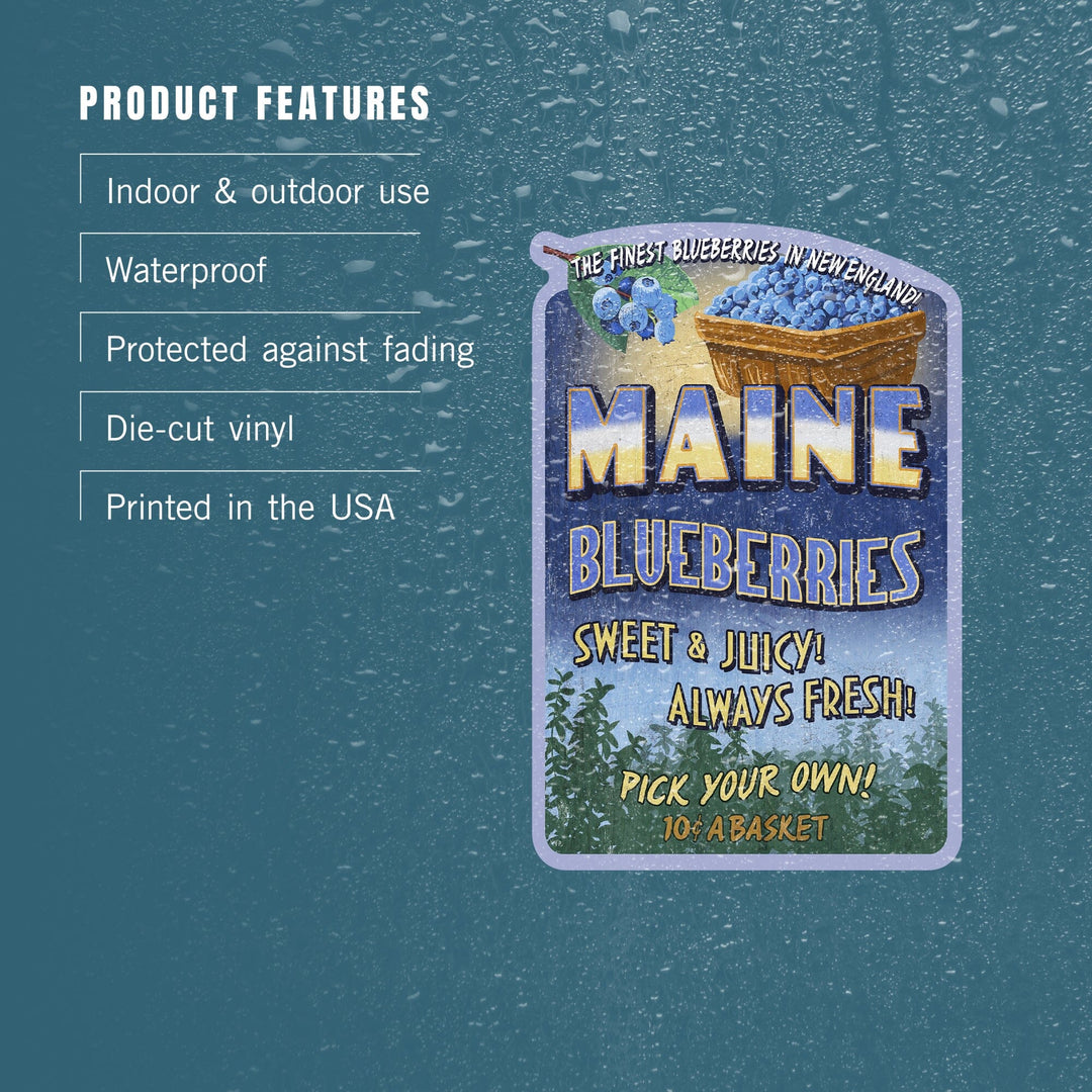 Maine, Blueberries Vintage Sign, Contour, Vinyl Sticker Sticker Lantern Press 