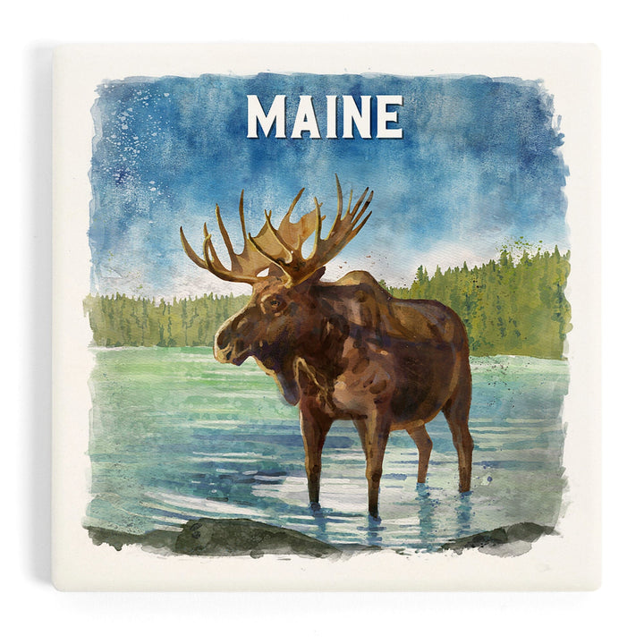 Maine, Watercolor Study, Moose, Coasters Coasters Lantern Press 