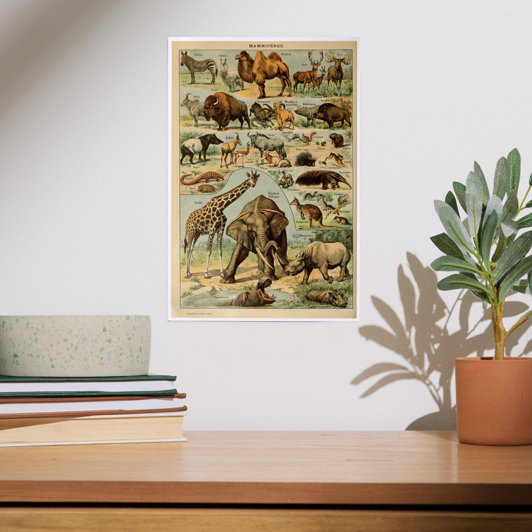 Mammals, B, Vintage Bookplate, Adolphe Millot Artwork, Art & Giclee Prints Art Lantern Press 