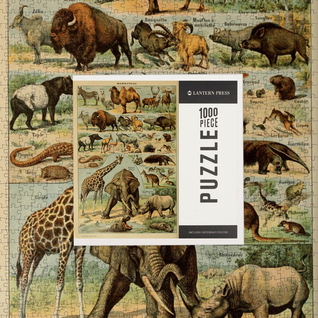 Mammals, B, Vintage Bookplate, Adolphe Millot Artwork, Jigsaw Puzzle Puzzle Lantern Press 