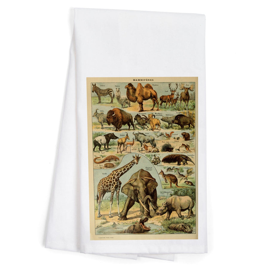 Mammals, B, Vintage Bookplate, Adolphe Millot Artwork, Organic Cotton Kitchen Tea Towels Kitchen Lantern Press 