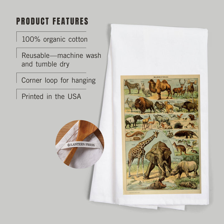 Mammals, B, Vintage Bookplate, Adolphe Millot Artwork, Organic Cotton Kitchen Tea Towels Kitchen Lantern Press 