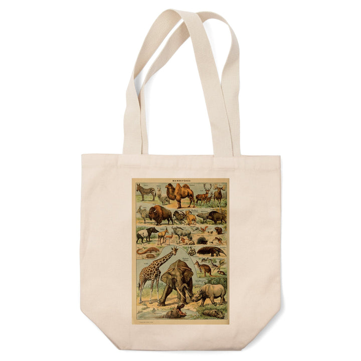 Mammals, B, Vintage Bookplate, Adolphe Millot Artwork, Tote Bag Totes Lantern Press 