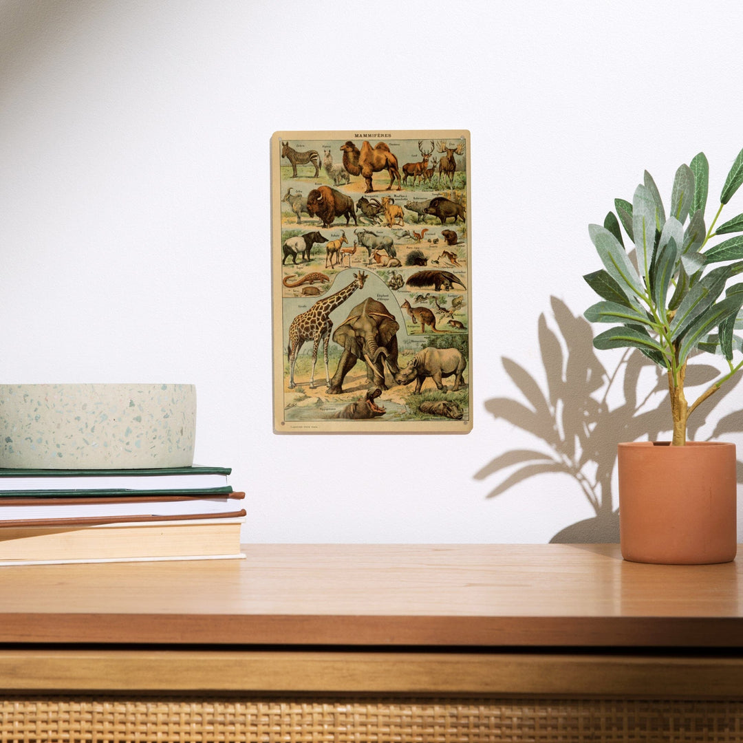 Mammals, B, Vintage Bookplate, Adolphe Millot Artwork, Wood Signs and Postcards Wood Lantern Press 