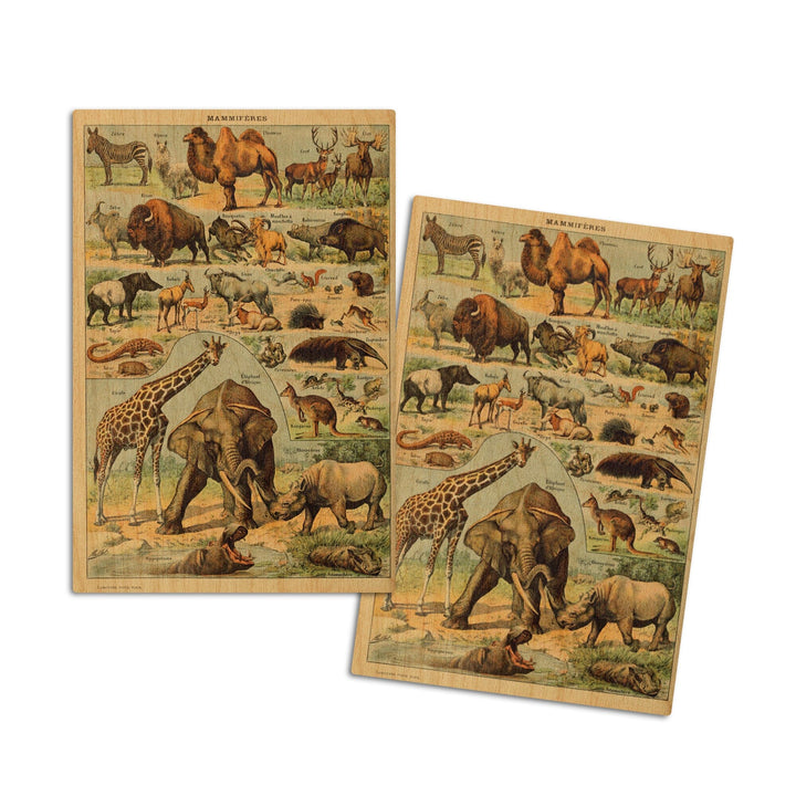 Mammals, B, Vintage Bookplate, Adolphe Millot Artwork, Wood Signs and Postcards Wood Lantern Press 4x6 Wood Postcard Set 