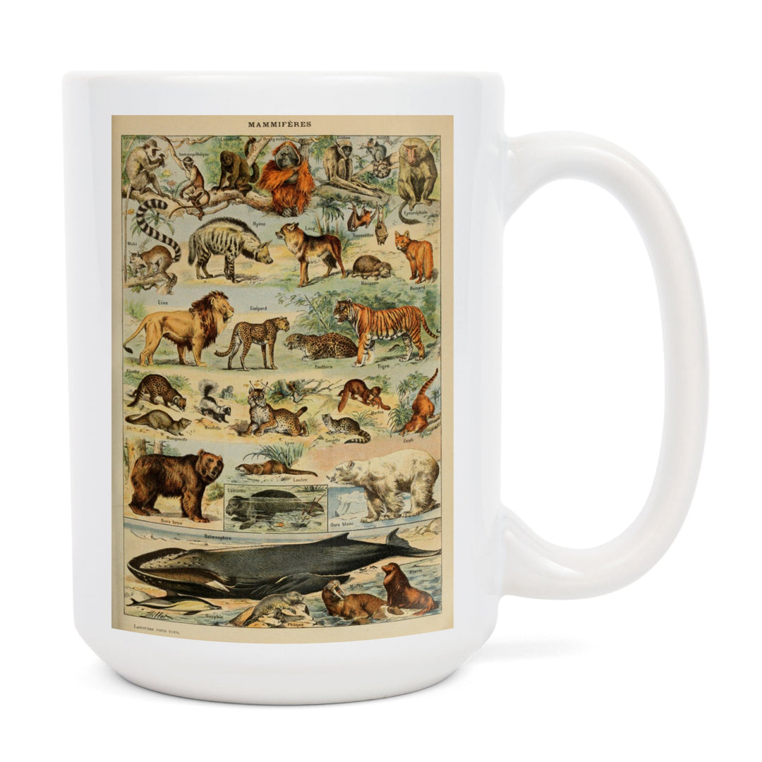 Mammals, D, Vintage Bookplate, Adolphe Millot Artwork, Ceramic Mug Mugs Lantern Press 