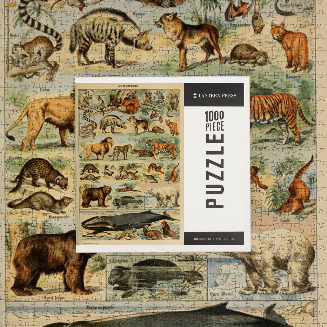 Mammals, D, Vintage Bookplate, Adolphe Millot Artwork, Jigsaw Puzzle Puzzle Lantern Press 