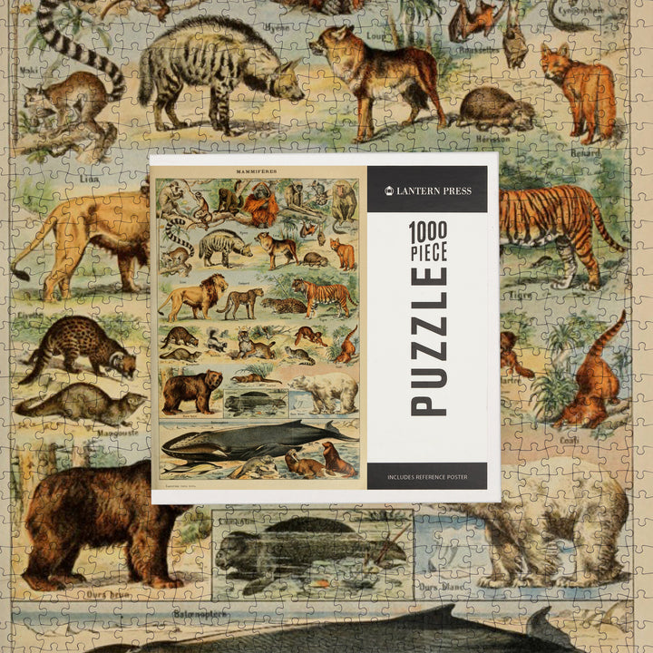 Mammals, D, Vintage Bookplate, Adolphe Millot Artwork, Jigsaw Puzzle Puzzle Lantern Press 
