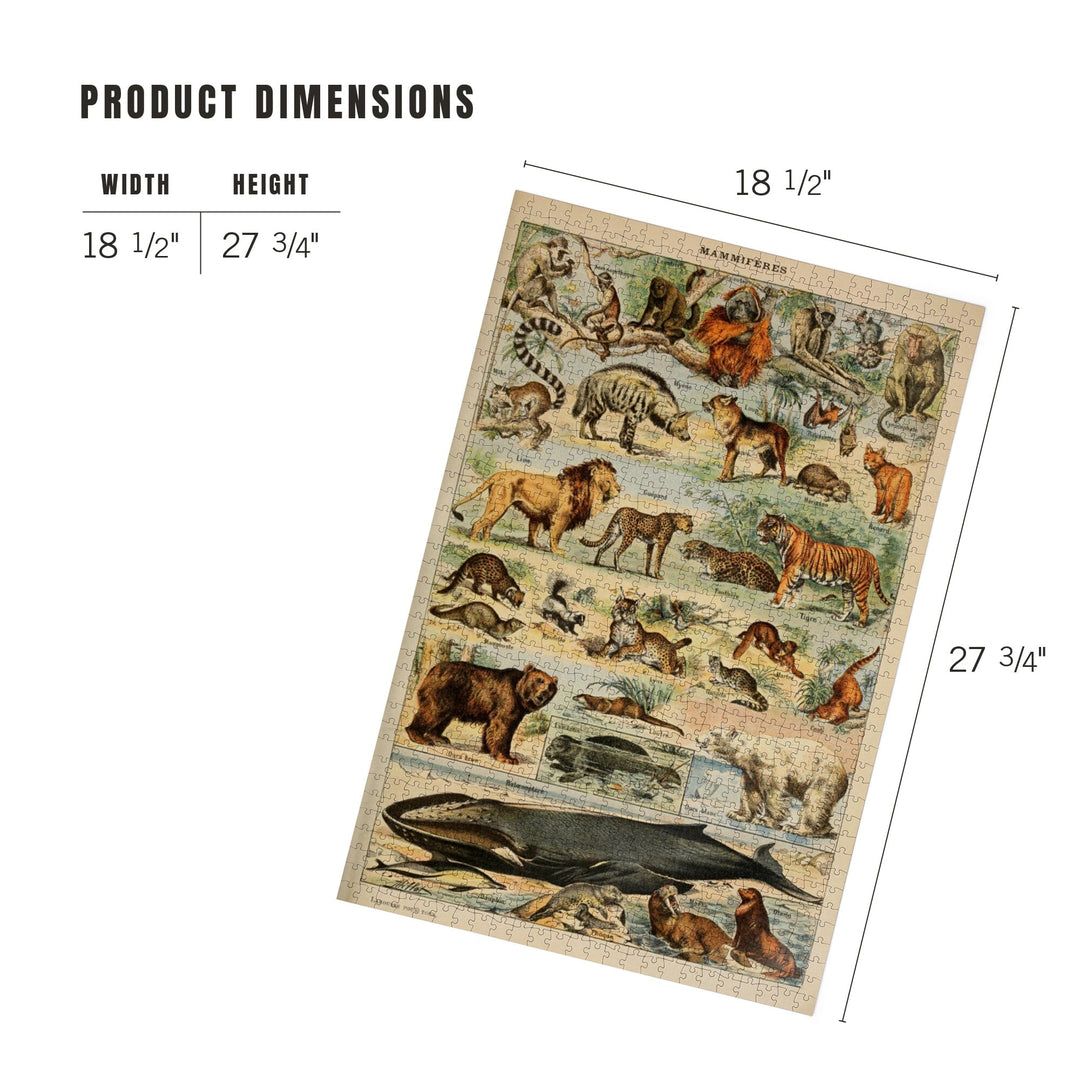 Mammals, D, Vintage Bookplate, Adolphe Millot Artwork, Jigsaw Puzzle Puzzle Lantern Press 