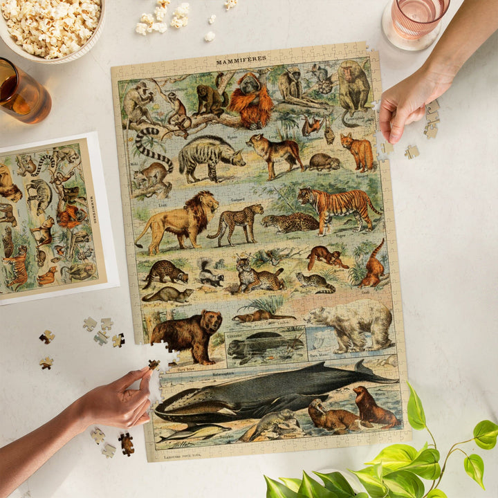 Mammals, D, Vintage Bookplate, Adolphe Millot Artwork, Jigsaw Puzzle Puzzle Lantern Press 