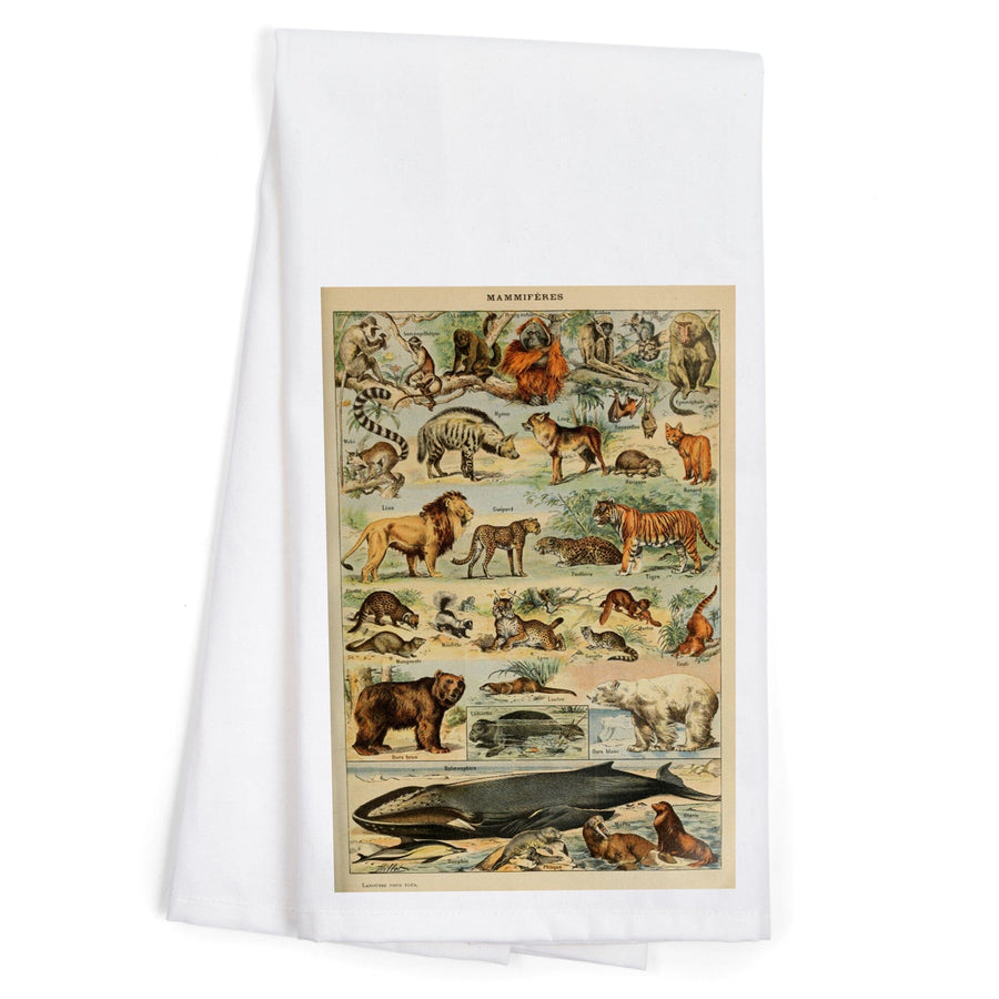 Mammals, D, Vintage Bookplate, Adolphe Millot Artwork, Organic Cotton Kitchen Tea Towels Kitchen Lantern Press 