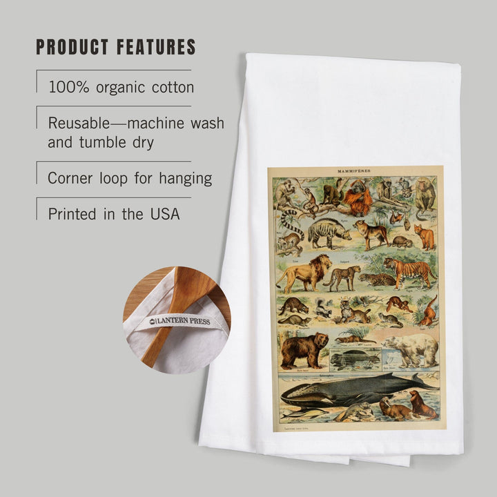Mammals, D, Vintage Bookplate, Adolphe Millot Artwork, Organic Cotton Kitchen Tea Towels Kitchen Lantern Press 