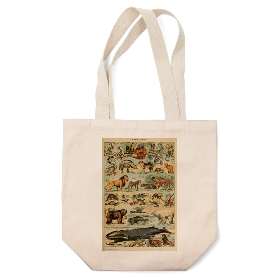 Mammals, D, Vintage Bookplate, Adolphe Millot Artwork, Tote Bag Totes Lantern Press 