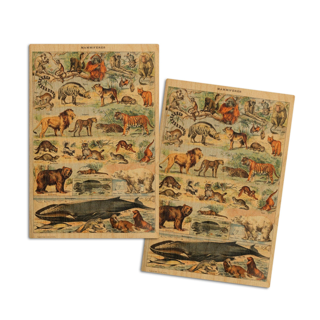 Mammals, D, Vintage Bookplate, Adolphe Millot Artwork, Wood Signs and Postcards Wood Lantern Press 4x6 Wood Postcard Set 