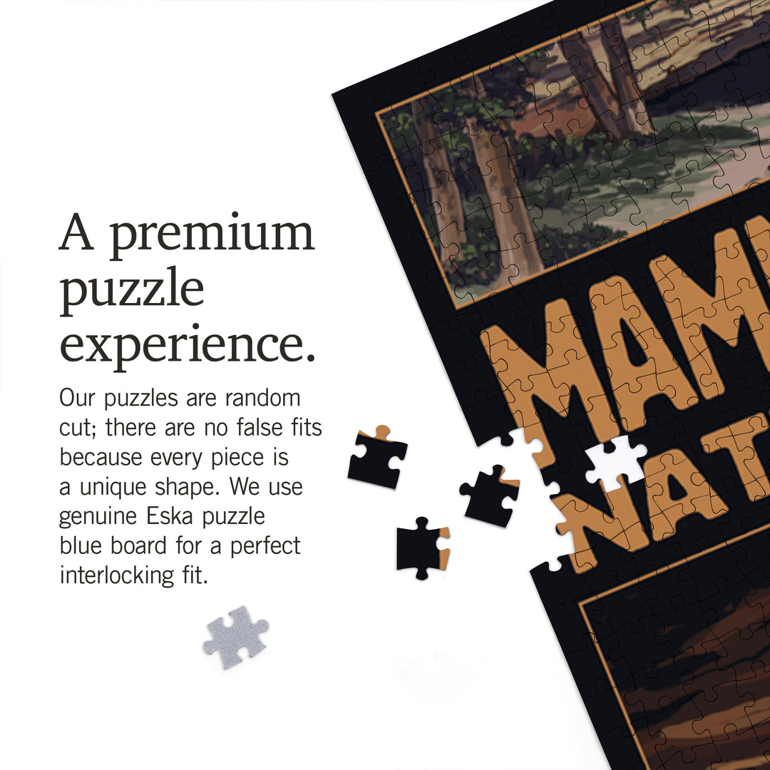Mammoth Cave National Park, Kentucky, Echo River, Jigsaw Puzzle Puzzle Lantern Press 